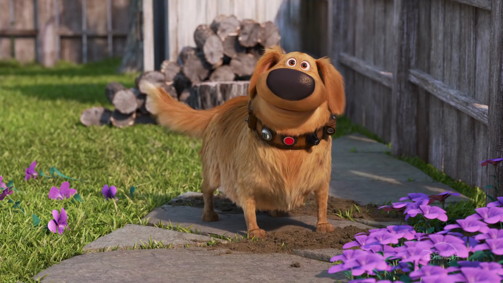 Thumbnail Cuộc Phiêu Lưu Của Dug