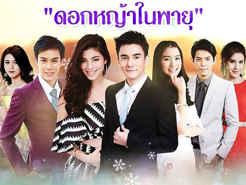 Thumbnail Hoa Cỏ Lau Trong Bão