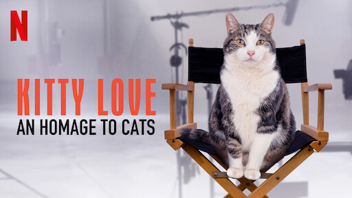 Thumbnail Kitty Love: Mèo cưng nhà mình
