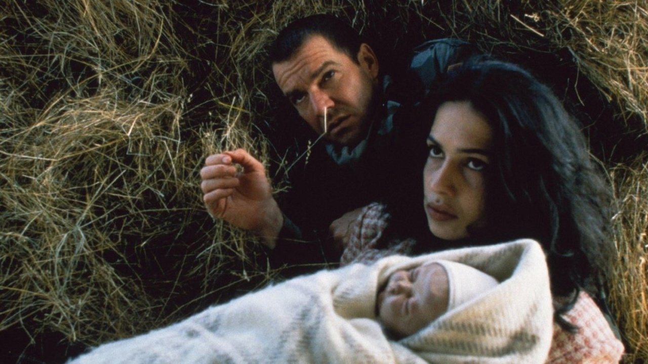 Thumbnail Người Cứu Rỗi