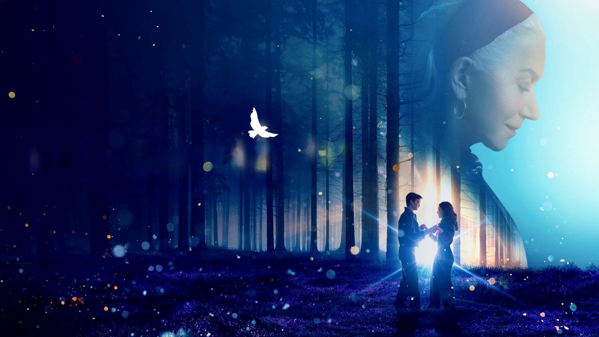 Thumbnail Phép Màu Giữa Đêm Đông