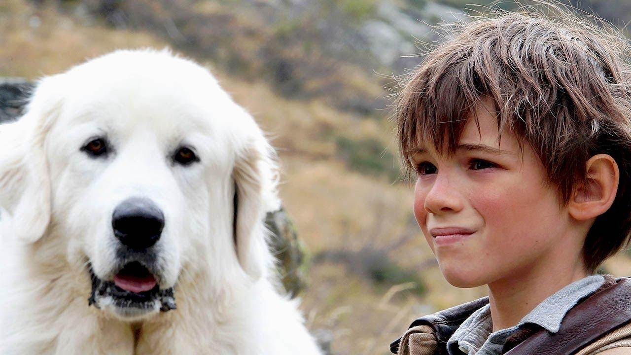 Thumbnail Tình Bạn Của Belle Và Sebastian